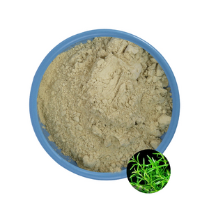 Salvia officinalis مستخلص 